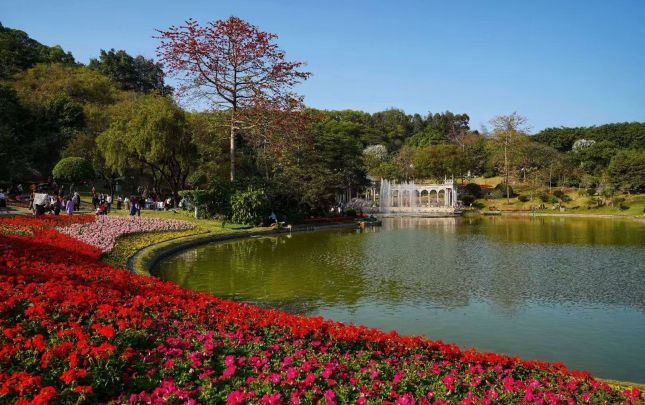 云台花园2